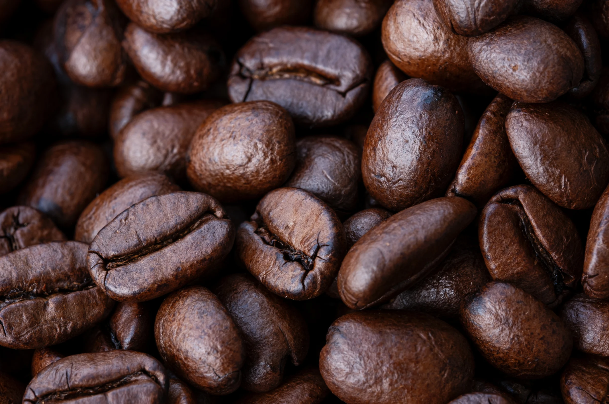 POPULAR ROASTS